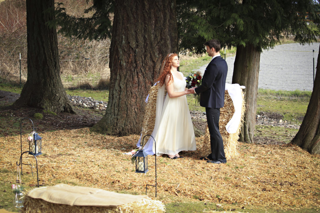 Wedding couple posing for photos in the Tall Trees