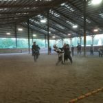 Medieval jousting at the Barn at Holly Farm