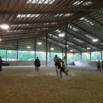 Medieval jousting at the Barn at Holly Farm