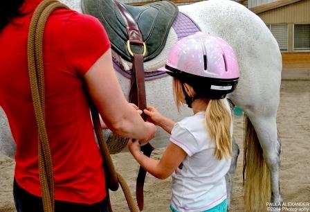 Tacking a horse at Equine Life Solutions