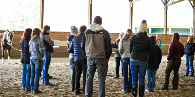 Horsemanship training with Robyn Smith