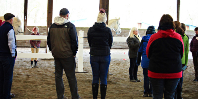 Team building with horses at the Barn at Holly Farm